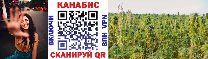 Марихуана гибрид  купить наркотики цена  Макушино 